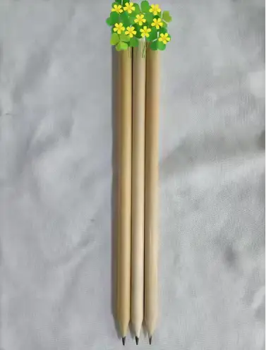 Seedpencil Flowering HB Pencils